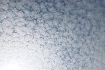 Sky background with many small floccus clouds.
