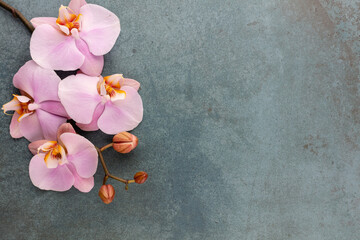 Naklejka na ściany i meble Pink spa orchid theme objects on pastel background.