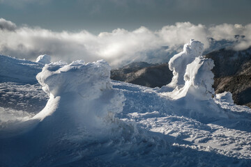abstract snow structures in forest in winter day in highland