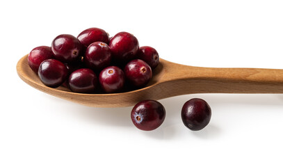 Front view of wooden spoon full of red ripe cranberries isolated on a white background. Cropped image of fresh organic wild berries in a spoon macro. Antioxidant and vitamin healthy eating concepts.