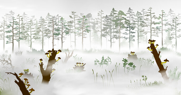 Swamp in the fog in front of the pine tree forest. Silhouette vector illustration of the bog with fallen trees, fungus, rotten stumps, mushrooms; grass, mist, plants, woods at morining