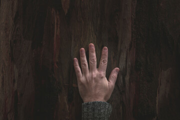 Open man's hand resting on the bark of a tree in winter that speaks about ecology and respect for nature