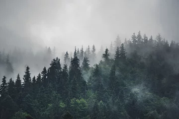 Photo sur Plexiglas Gris 2 Misty mountain landscape