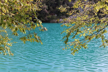 Picturesque lake with turquoise water and green tree leaves above water, autumn in Plitvice Lakes National Park, Croatia