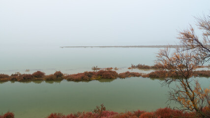 Breathtaking winter landscape in the Badlands of Camargue France