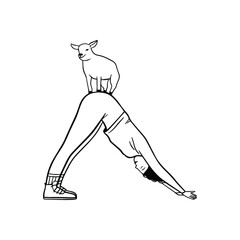 Goat yoga exercise illustration. New fitness style concept on isolated background.