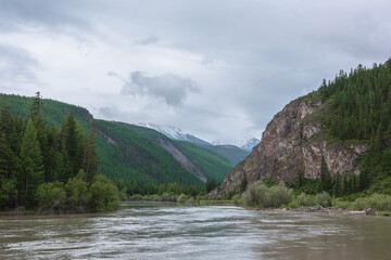 Atmospheric overcast landscape with wide mountain river and coniferous trees against snowy mountains in rainy low clouds. Gloomy scenery with large river and forest mountains under low gray cloudy sky