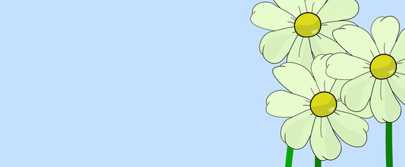 WHITE DAISY WALLPAPER. Flower Drawing, ILLUSTRATION. Bellis Perennis plant desktop image. Blossom. Blue background, strong fresh contrast, cheerful banner. Petals on natural texture. © Tenebroso