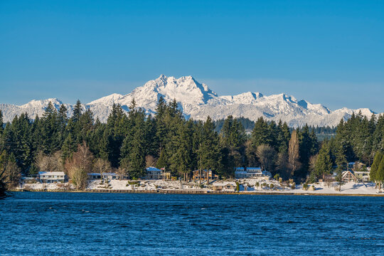 The snowy mountains of the Olympic Peninsula seen from Bremerton