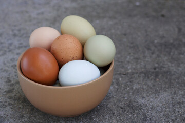 farm colorful chicken eggs in ceramic bowl