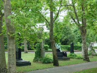 stone path in the park