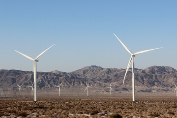 wind turbines farm