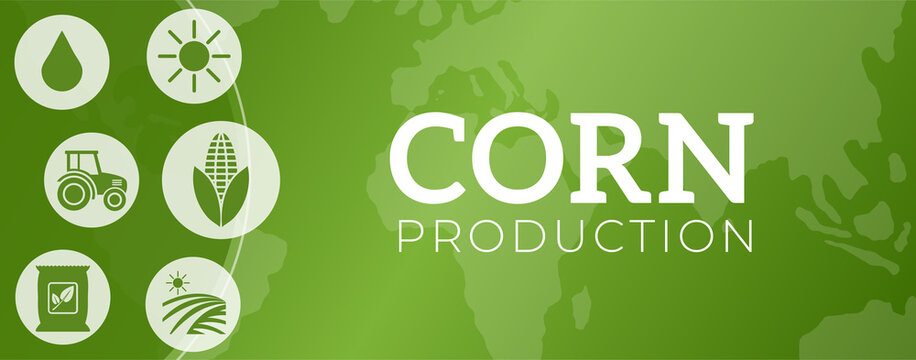 Green Corn Production Illustration Banner