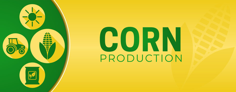 Yellow Corn Production Illustration Banner
