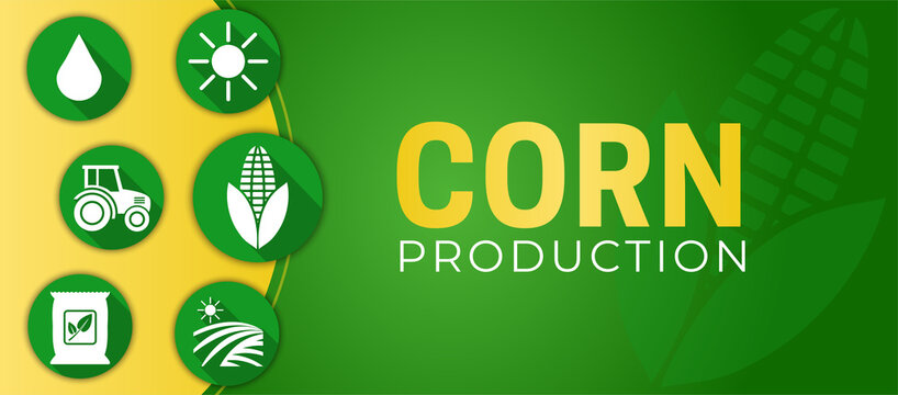 Corn Production Agriculture Illustration Background