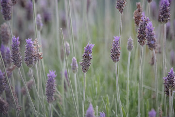 Laundry on the edge of a wonderful mountain.
