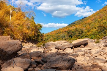 Obraz premium Landscape stone with mountain autumn leaves season beautiful nature sceney