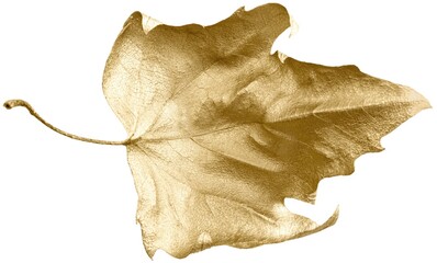 Autumn gold concept. Fall gold leaves pattern on background. Flat lay