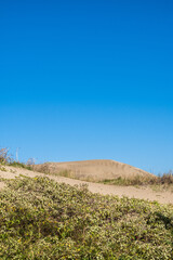 sand dunes and sky