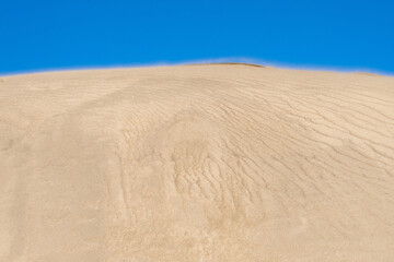 sand dunes on the beach