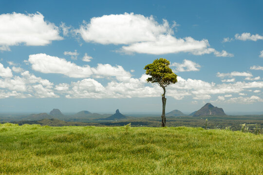 One Tree Hill Glass House Mountains