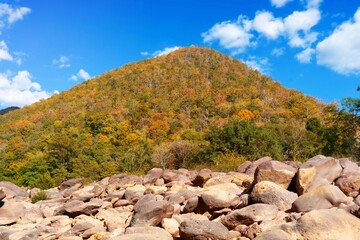 Landscape stone with mountain autumn leaves season beautiful nature sceney