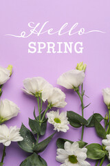 Beautiful white flowers with text HELLO SPRING on lilac background