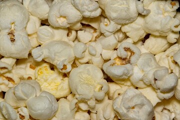 White popcorn kernels up close with details and textures from directly above, selective focus.