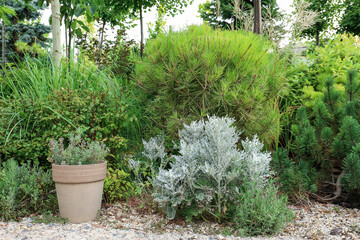 View of beautiful green park on summer day