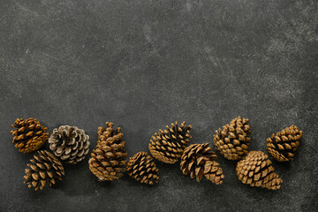 Pine cones on dark background