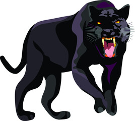Black Panther Mammal Wild Animal