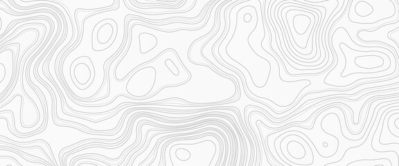 Fototapeta premium White wave paper curved reliefs abstract background, Abstract topographic contours map background, vector illustration of topographic line contour map, black-white design, Luxury black .