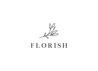 Floral logo templates. Vector minimalistic logos. Rustic elegant logotypes - Vector
