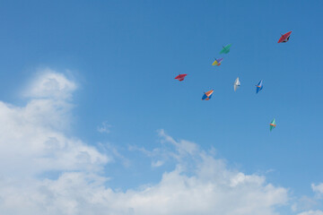 Fototapeta na wymiar Group of kites flying over the clouds 