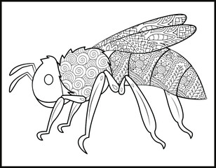 Bee Coloring book for children