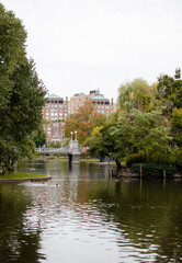 Fototapeta na wymiar canal in the city