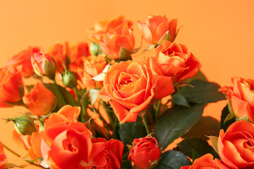 Bouquet of beautiful orange roses on color background