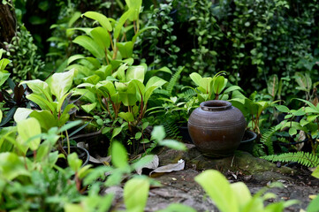 A shady garden covered with green trees shining in the morning.