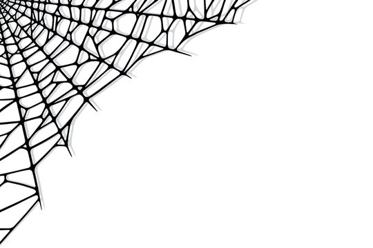 Spider web corner on white background. Spooky Halloween cobweb. Handrawn vector illustration