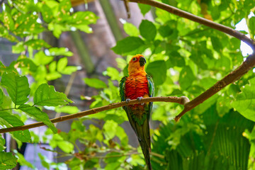 bird on a branch