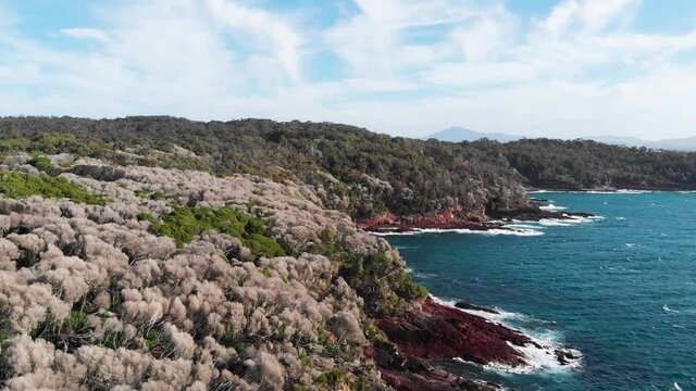 Slow Motion Forward Flying Drone Shot in Ben Boyd National Park Near The Town Of Eden In New South Wales. Showing Crashing Waves Hitting The Rocks. New South Wales, Australia