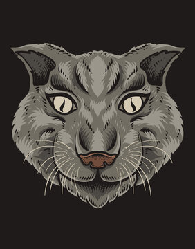 illustration cat head on black background