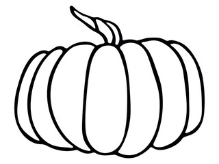 Vector hand drawn illustration of pumpkin. Isolated object on white background. Vegetable harvest clip art. Farm market product. Elements for autumn design, decoration.