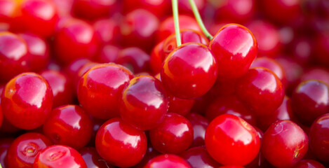 Red ripe cherry. Close-up. Vitamins.
