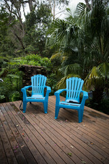 bench in the garden