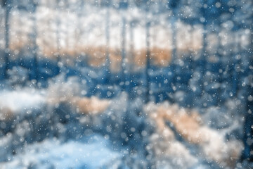  blurred winter forest