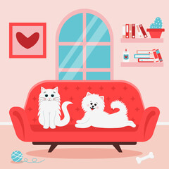 Cute white cat and spitz dog on the sofa. Fluffy pets in the living room. Acceptance, love for domestic animals, pet friendship, cozy home interior.