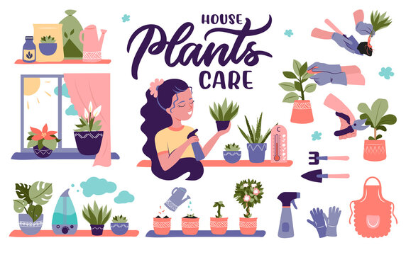 The set of house plants pots clipart. The succulents are good for care instructions, stickers