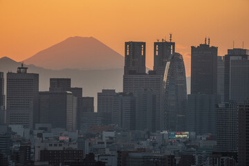 Fototapeta premium tokyo city scape
