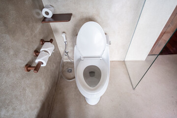 New ceramic toilet bowl and toilet paper. Cleaning, WC, Lifestyle and personal hygiene concept